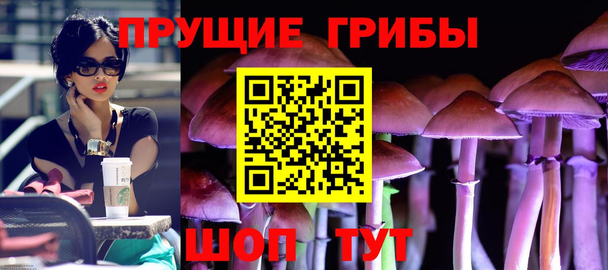 Майкоп  Псилоцибиновые грибы Psilocybine cubensis  Псилоцибиновые грибы GOLDEN TEACHER  Вход с VPN 